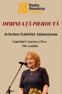 „Dimineață pierdută”, în lectura Gabrielei Adameșteanu – Capitolul 6 (partea a II-a) – Ora ceaiului