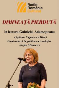 „Dimineață pierdută”, în lectura Gabrielei Adameșteanu – Capitolul 7 (partea a III-a) – După-amiază în grădina cu trandafiri – Ștefan Mironescu