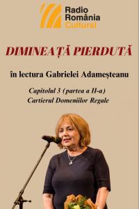 „Dimineață pierdută”, în lectura Gabrielei Adameșteanu – Capitolul 3 (partea a II-a) – Cartierul Domeniilor Regale