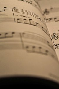 Sezonul 1 - Episodul 15