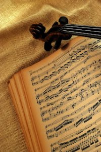 Sezonul 1 - Episodul 19 - Muzica lui Radu Șerban