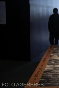 Dușmance ale poporului - Iuliana Preduț Constantinescu