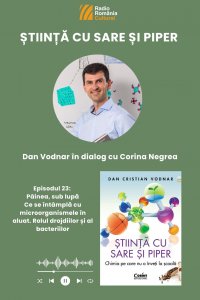 Ce se întâmplă cu adevărat în aluat? Secretele științei din aluatul de pâine