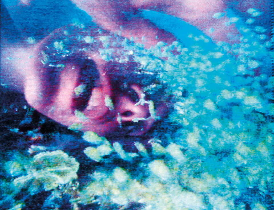 Pipiloti Rist, Pickelporno (Pimple Porno), 1992