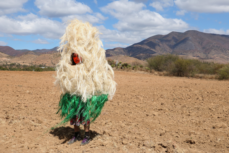 Naomi Rincón Gallardo, Opossum Resilience, 2019