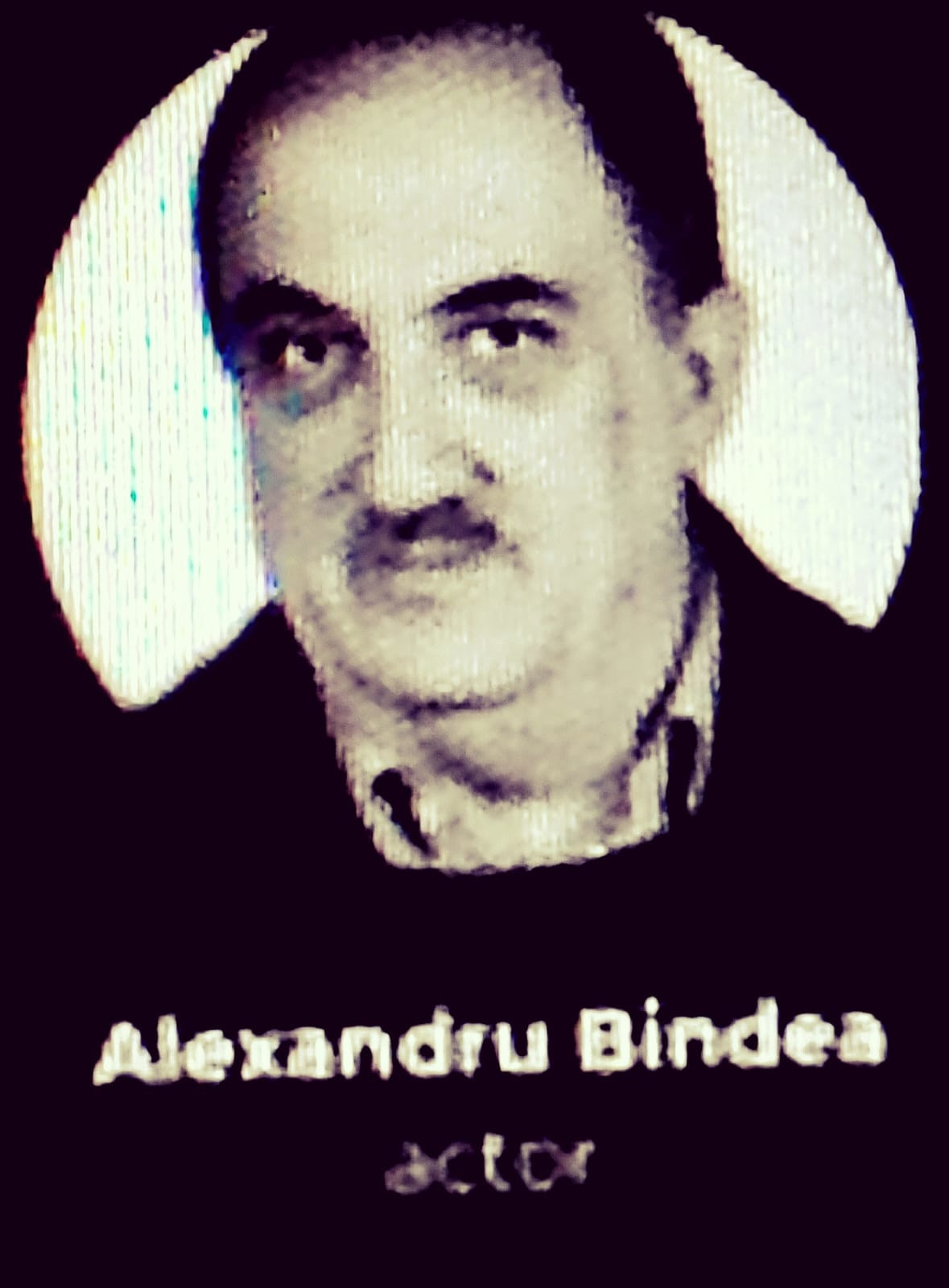 Alexandru Bindea