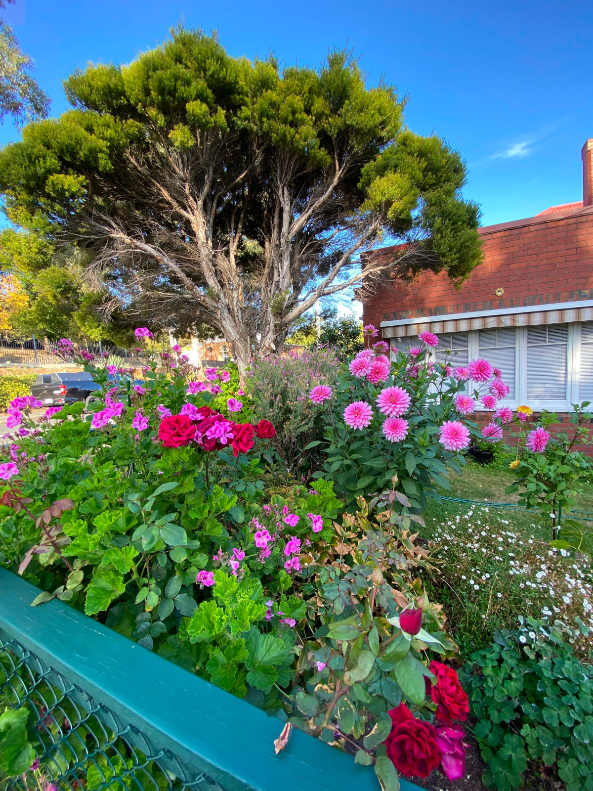 Gradina de linga casa