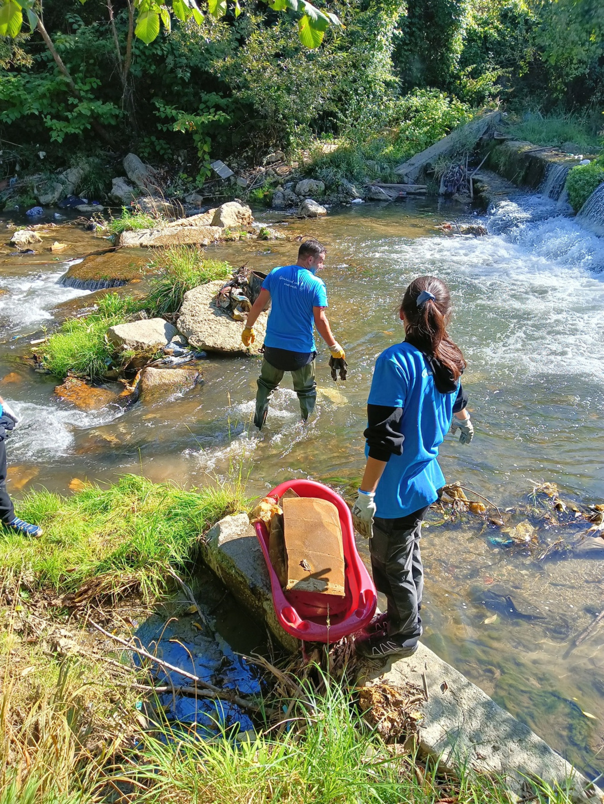 actiune ecologizare in rau