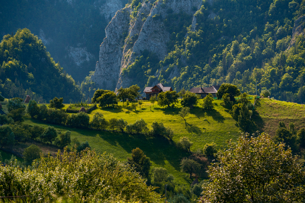 Foto Radu Niță