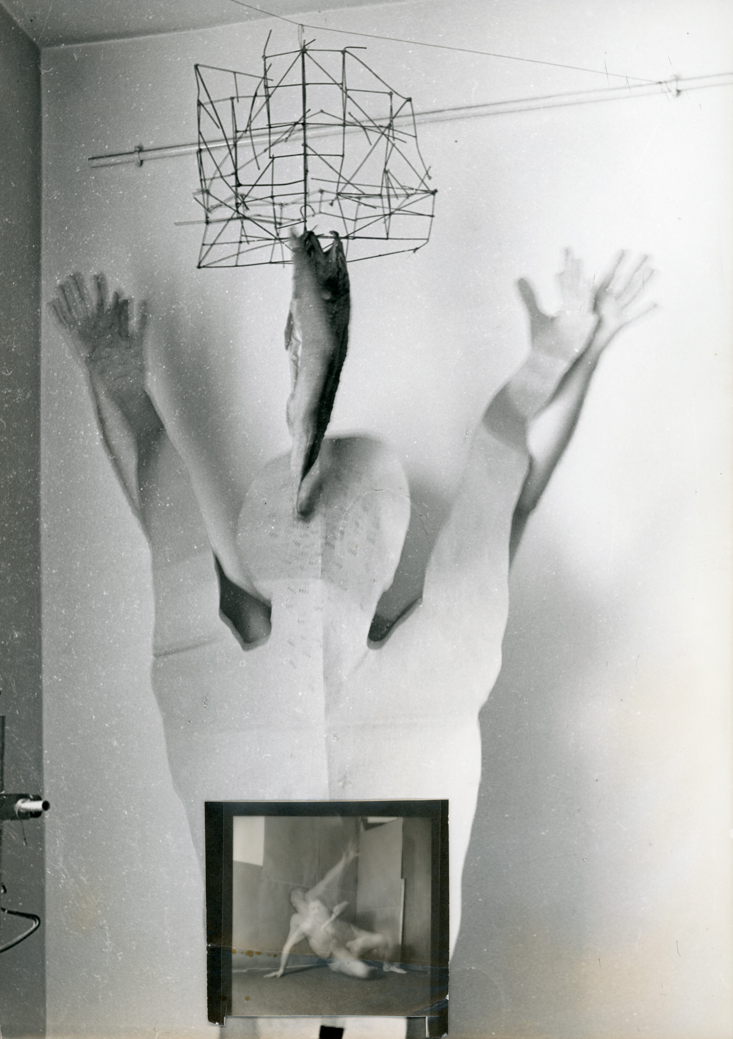 Iosif Kiraly, Moving Body with Shadow and Fish, 1988